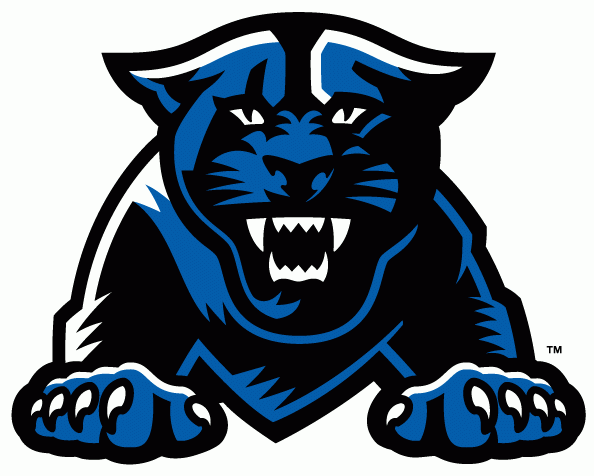 Georgia State Panthers 2010-Pres Partial Logo iron on transfers for clothing